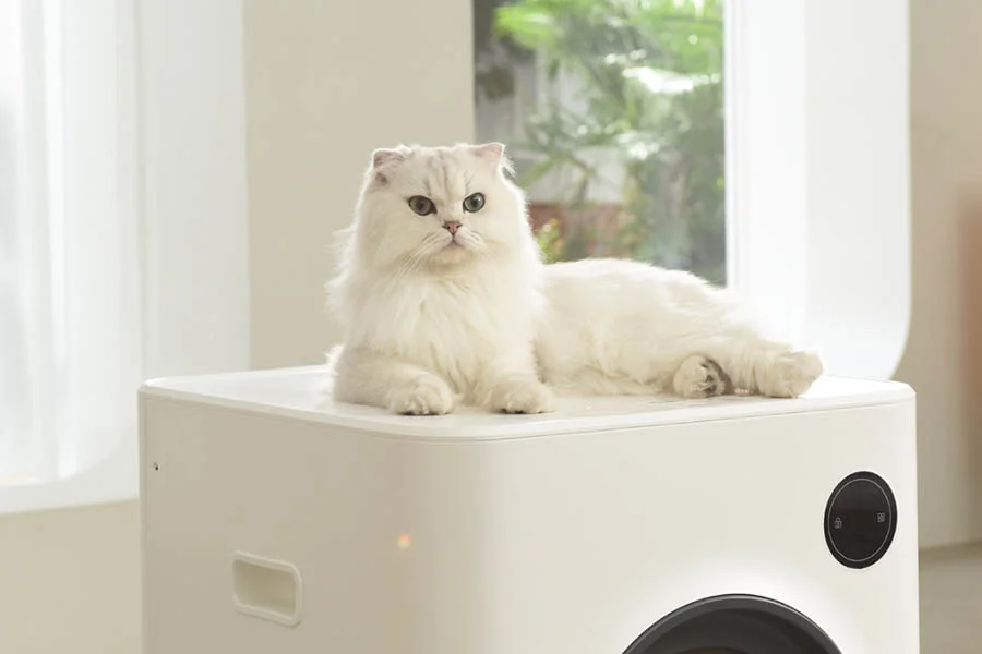 best automatic kitty litter box